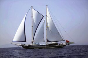 Bibi Ayşegül - Galeri