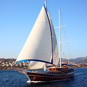 Blue Cruise