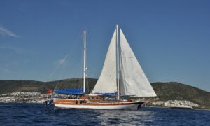 Cemre Junior - Galeri