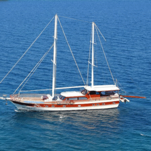 Deniz Yıldızı II