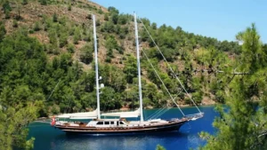 Kaya Güneri V - Galeri