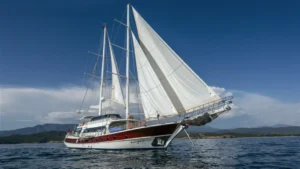 Kayhan IV - Galeri