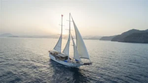 Kayhan VIII - Galeri