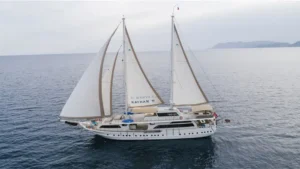 Kayhan XI - Galeri