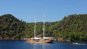Mare Nostrum - Galeri