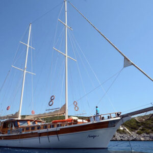 Naviga I