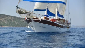 Salmakis - Galeri