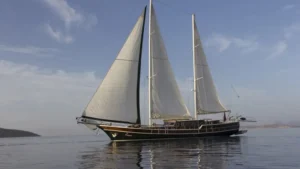 Serenad - Galeri