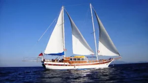 Tufan V - Galeri