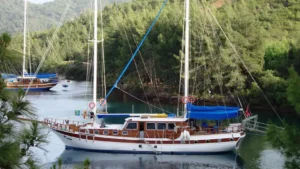 Tufan V - Galeri