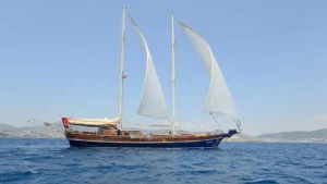 Zephyria II - Galeri