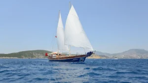 Zephyria II - Galeri