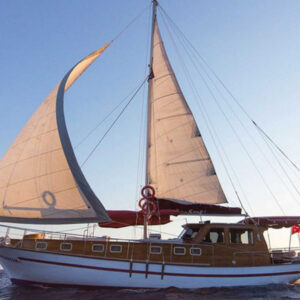 Sea Star I